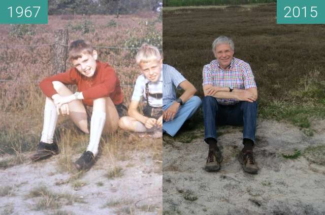 Before-and-after picture of Schneverdingen in der Lüneburger Heide between 1967-Aug-25 and 2015-May-08