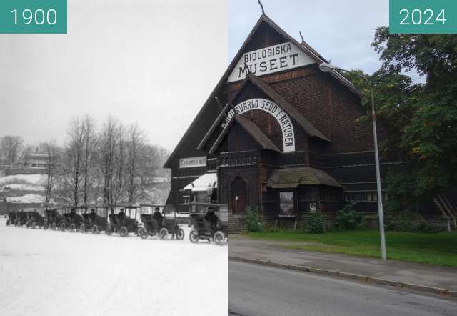 Vorher-Nachher-Bild von Biologiska Museet zwischen 1900 und 08.2024