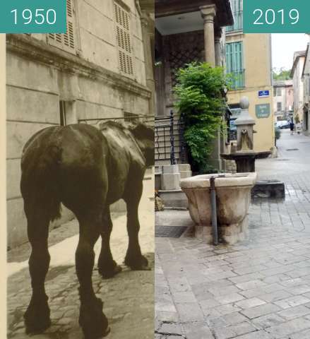 Before-and-after picture of Rephoto Valbonne 500 ans fontaine de la Mairie between 1950 and 2019-Jun-10