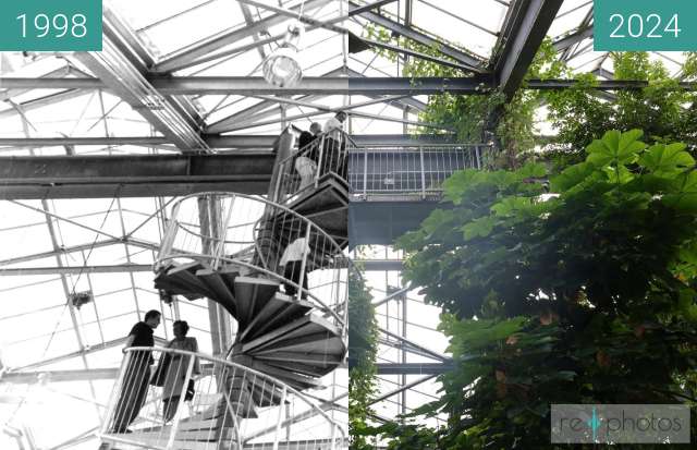 Vorher-Nachher-Bild von Tropenhaus im Botanischen Garten Osnabrück zwischen 13.06.1998 und 08.2024