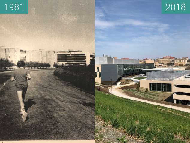 Before-and-after picture of Jogger down Daisy Hill between 1981 and 2018-Apr-17