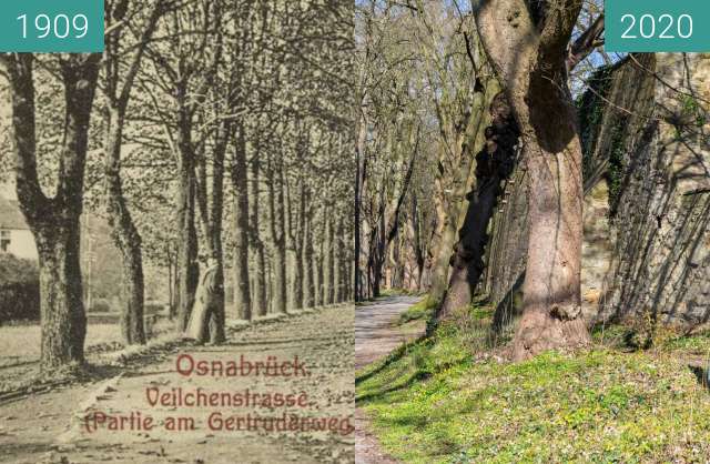 Vorher-Nachher-Bild von Veilchenstrasse zwischen 06.1909 und 03.2020