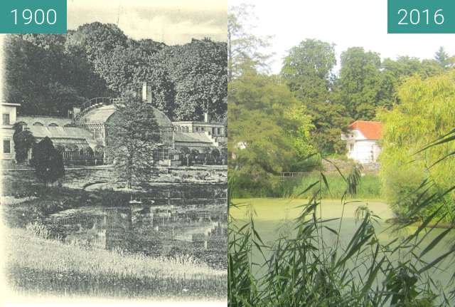 Before-and-after picture of Botanical Garden Münster between 1900 and 2016-Sep-02