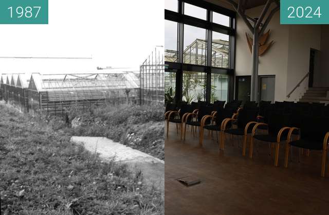 Vorher-Nachher-Bild von Botanischer Garten Bohnenkamphaus zwischen 1987 und 10.2024