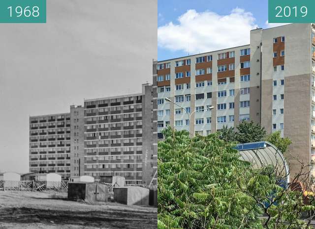 Before-and-after picture of Ulica Niestachowska between 1968 and 2019-Jul-25