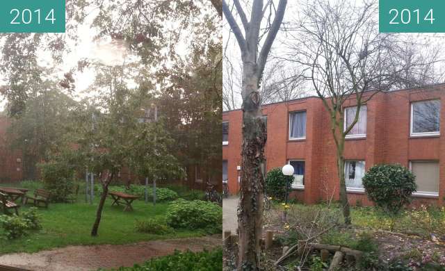 Before-and-after picture of Blick in den Innenhof (NW) des Wohnheims Jahnplatz between 2014-Aug-30 and 2014-Nov-27