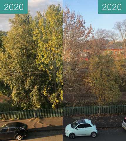 Before-and-after picture of Winter comes to Pollokshields between 2020-Sep-13 and 2020-Nov-07