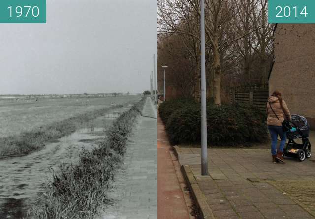 Before-and-after picture of Daalmeerpad Alkmaar between 1970 and 2014