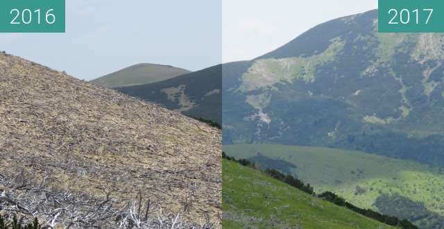 Image avant-après de Vranica entre 29 mai 2016 et 9 juil. 2017