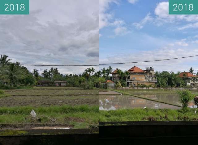 Before-and-after picture of Flooded Rice Paddy Fields in Ubud between 2018-Jan-26 and 2018-Feb-02